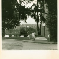 A female student walks towards Prosser Hall, ca. 1965.