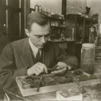 Charles F. Seidel &#039;14 in science lab, ca. 1913.