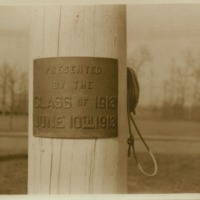 Flag Pole Grove, 1913.